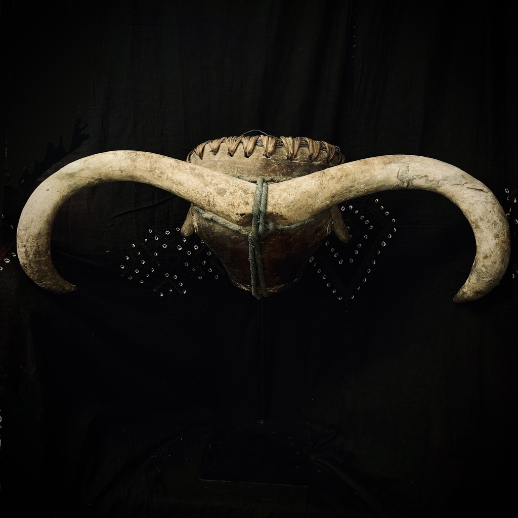 Máscara toro Bijagos Guinea Bissau envergadura 75cm 